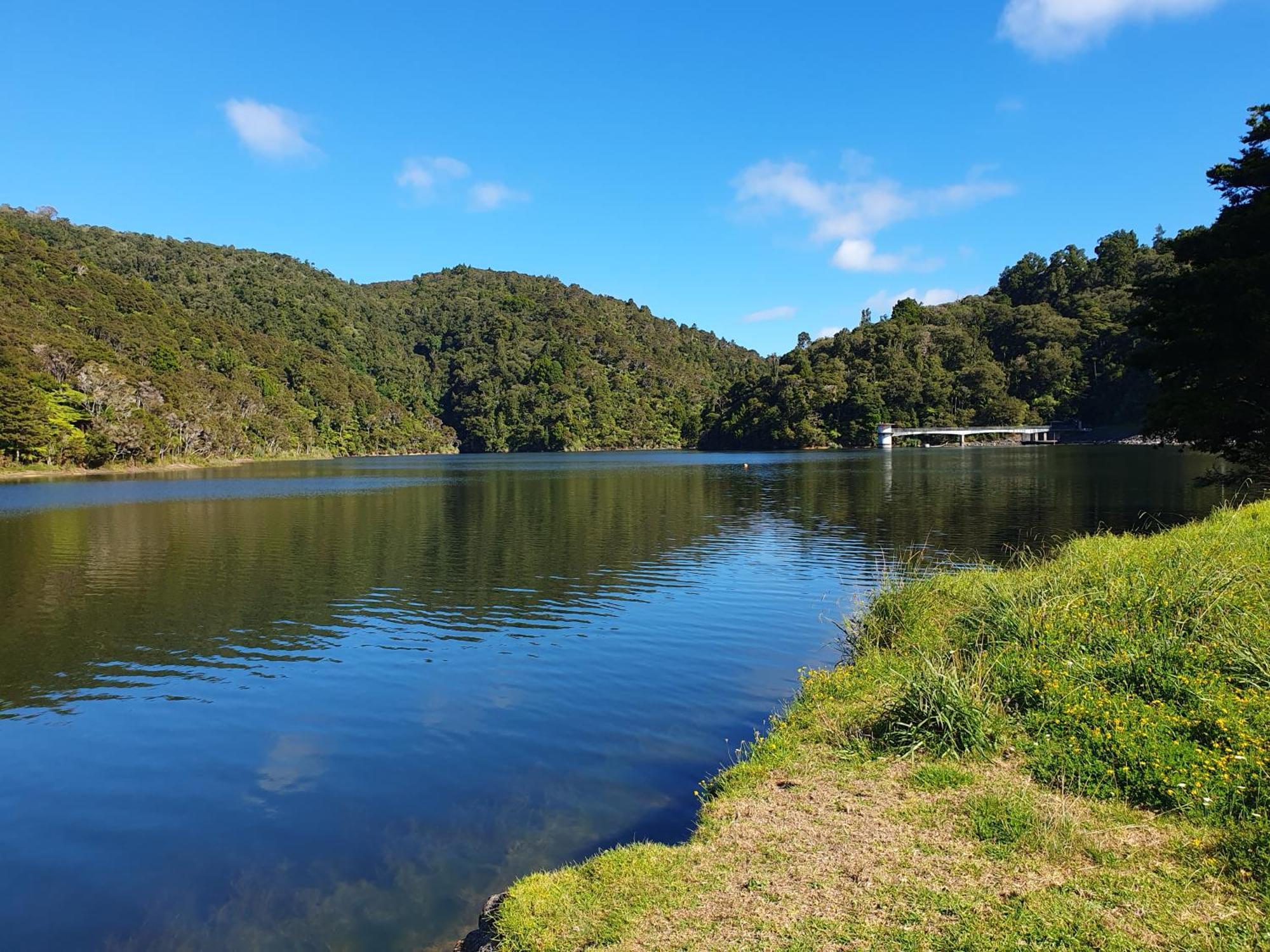 Quiet. Comfy Oasis In Whangarei Zewnętrze zdjęcie
